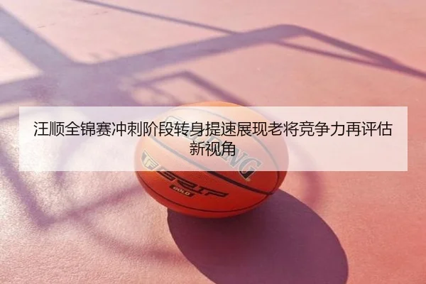 汪顺全锦赛冲刺阶段转身提速展现老将竞争力再评估新视角